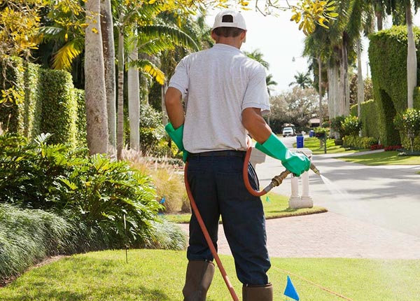 About West Concord MN Pest Control